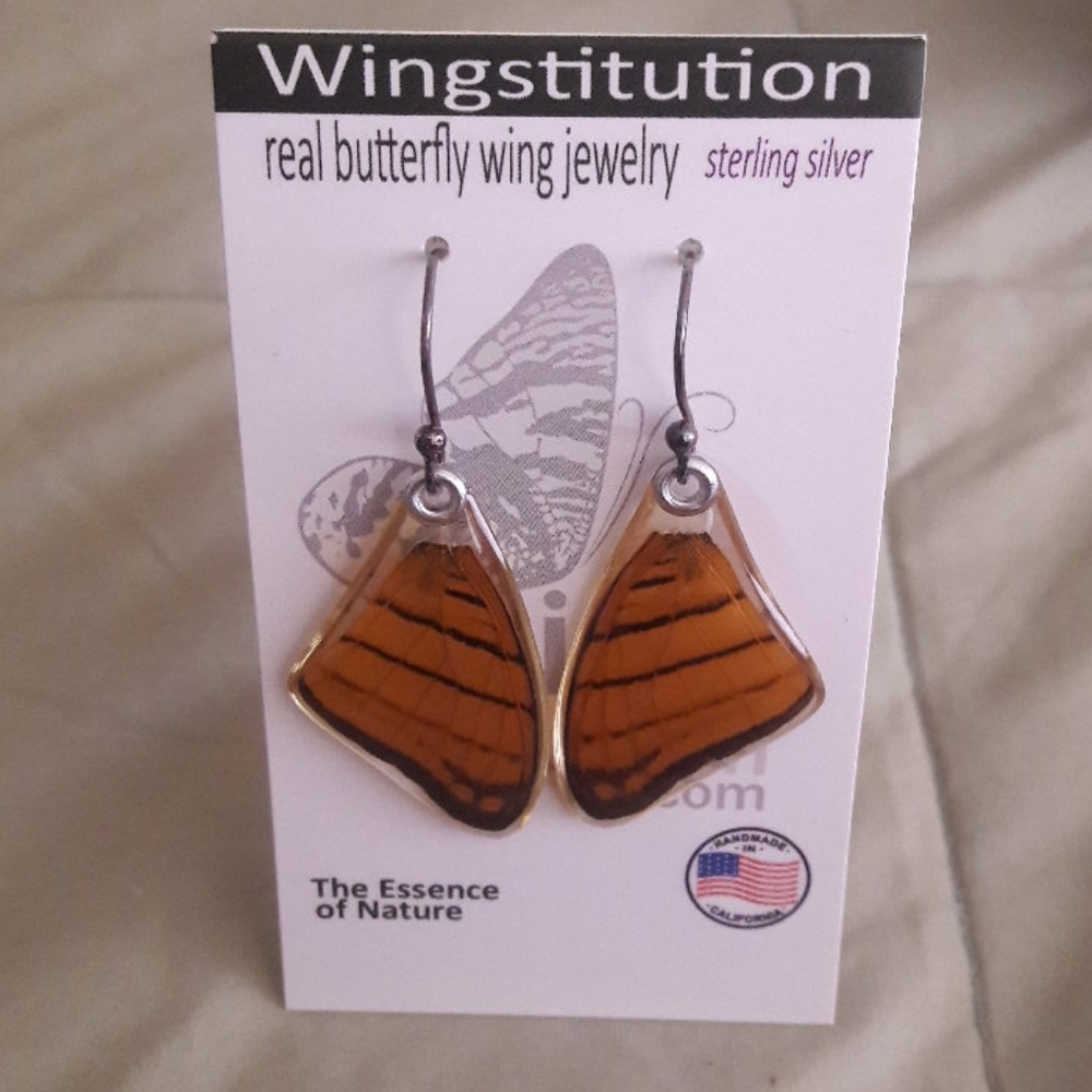 NWT Real Butterfly Wing Earrings